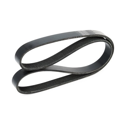 V-Ribbed Belt RIDEX 305P0359 305P0359 - photo 4