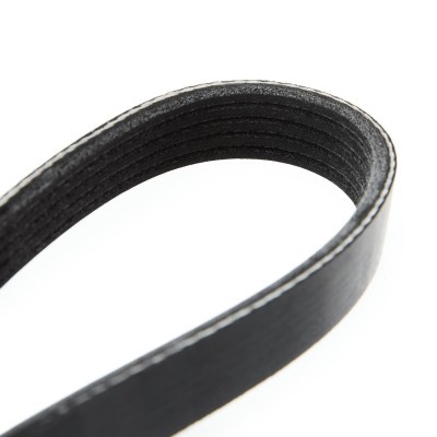 V-Ribbed Belt RIDEX 305P0031 305P0031 - photo 5