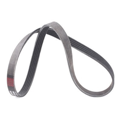 V-Ribbed Belt RIDEX 305P0148P 305P0148P - photo 3