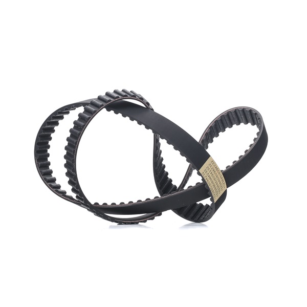 V-Ribbed Belt RIDEX 305P0008 305P0008 - photo 1