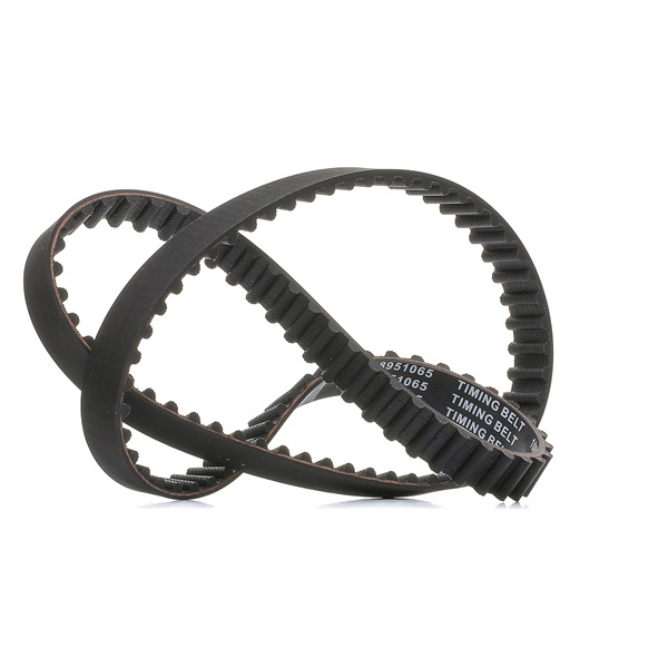 Timing Belt RIDEX 306T0066P 306T0066P - photo 1