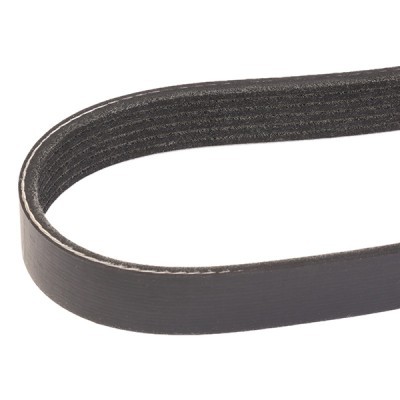 V-Ribbed Belt RIDEX 305P0215 305P0215 - photo 3