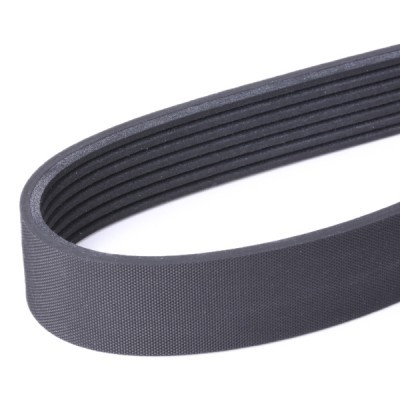 V-Ribbed Belt RIDEX 305P0509 305P0509 - photo 4