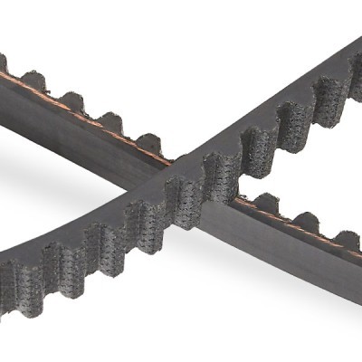 Timing Belt RIDEX 306T0055P 306T0055P - photo 5