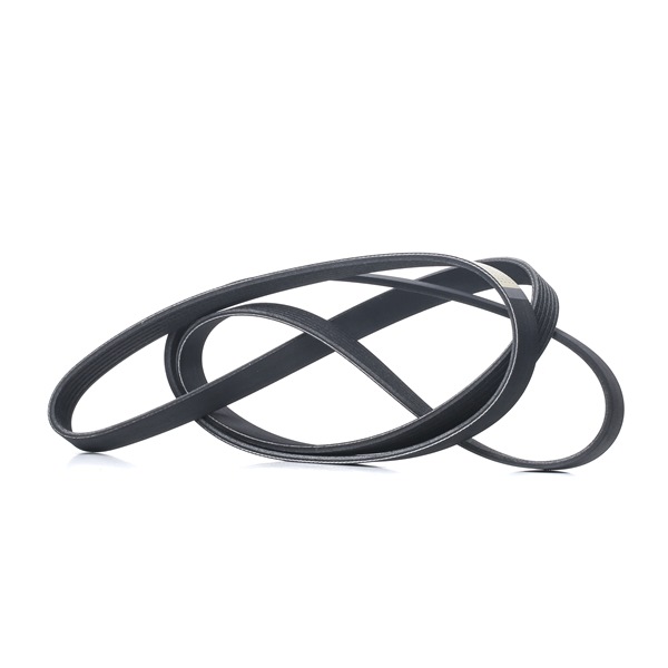 V-Ribbed Belt RIDEX 305P0096 305P0096 - photo 1