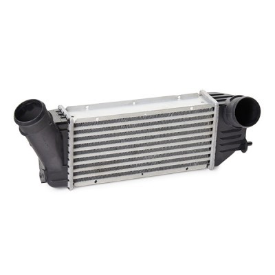 Intercooler, Charger RIDEX 468I0325 468I0325 - photo 3