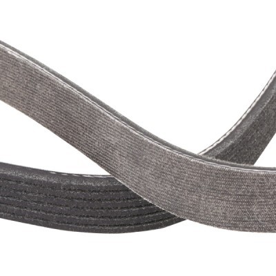 V-Ribbed Belt RIDEX 305P0208P 305P0208P - photo 5