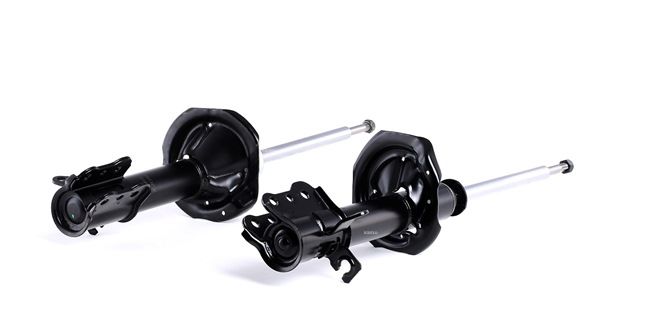 Shock Absorber RIDEX 854S1684 854S1684 - photo 1