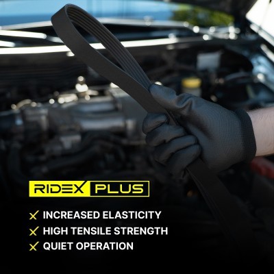 V-Ribbed Belt RIDEX 305P0025P 305P0025P - photo 7