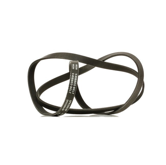 V-Ribbed Belt RIDEX 305P0149P 305P0149P - photo 1