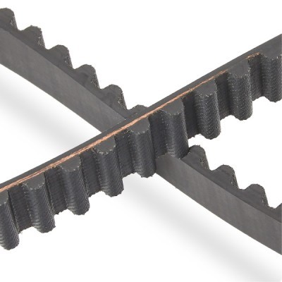 Timing Belt RIDEX 306T0026P 306T0026P - photo 5