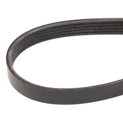 V-Ribbed Belt RIDEX 305P0329 305P0329 - photo 3