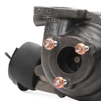 Turbocharger RIDEX 2234C0012R 2234C0012R - photo 7