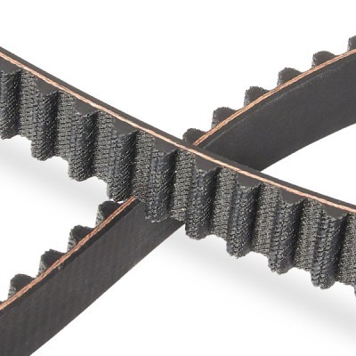 Timing Belt RIDEX 306T0069P 306T0069P - photo 5
