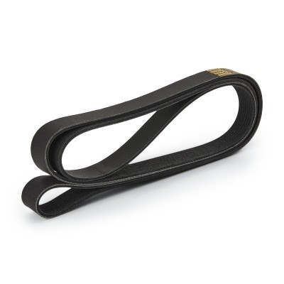 V-Ribbed Belt RIDEX 305P0491P 305P0491P - photo 4