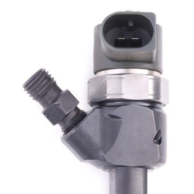Injector Nozzle RIDEX 3902I0431R 3902I0431R - photo 10