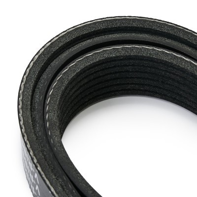 V-Ribbed Belt RIDEX 305P0431 305P0431 - photo 4