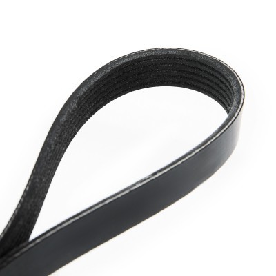 V-Ribbed Belt RIDEX 305P0081 305P0081 - photo 5