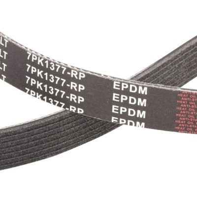 V-Ribbed Belt RIDEX 305P0561P 305P0561P - photo 5