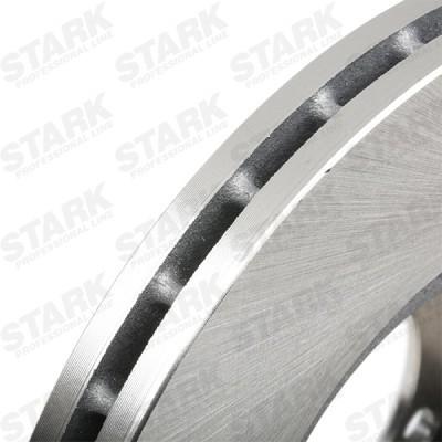 Brake Disc Stark SKBD-0022983 SKBD-0022983 - photo 3