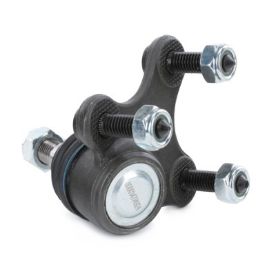 Ball Joint RIDEX 2462S0042 2462S0042 - photo 4