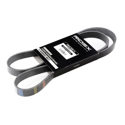 V-Ribbed Belt RIDEX 305P0179 305P0179 - photo 3