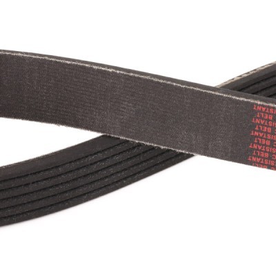 V-Ribbed Belt RIDEX 305P0615P 305P0615P - photo 5