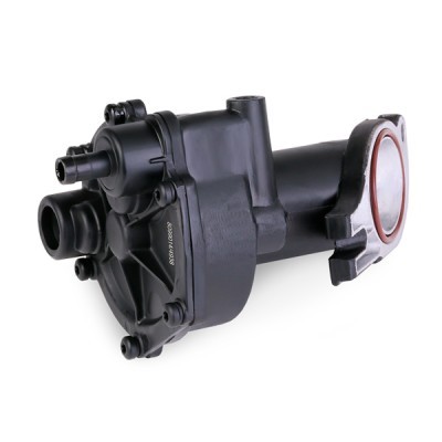 Vacuum Pump RIDEX 387V0002 387V0002 - photo 5