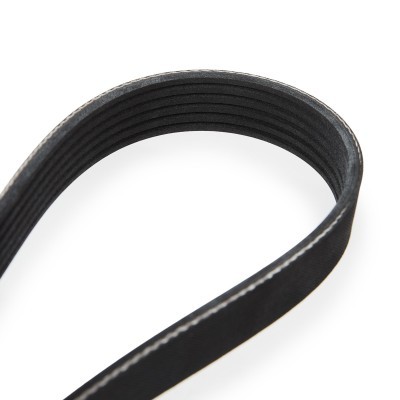 V-Ribbed Belt RIDEX 305P0046 305P0046 - photo 5
