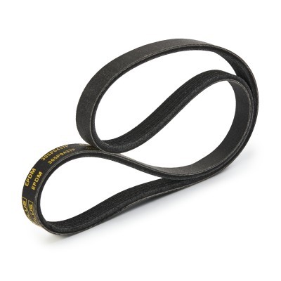 V-Ribbed Belt RIDEX 305P0437P 305P0437P - photo 4