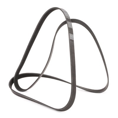 V-Ribbed Belt RIDEX 305P0185P 305P0185P - photo 3