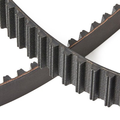 Timing Belt RIDEX 306T0122P 306T0122P - photo 5