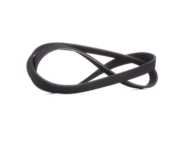 V-Ribbed Belt RIDEX 305P0406 305P0406 - photo 1
