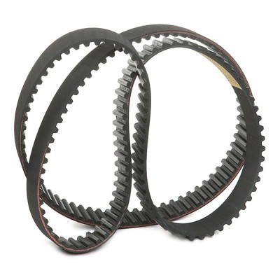 Timing Belt RIDEX 306T0097 306T0097 - photo 3