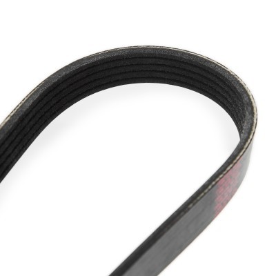 V-Ribbed Belt RIDEX 305P0120 305P0120 - photo 5