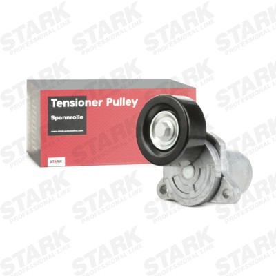 Belt Tensioner V-Ribbed Belt Stark SKTP-0600053 SKTP-0600053 - photo 2
