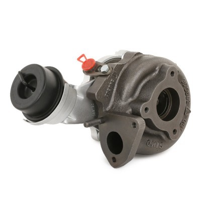 Turbocharger RIDEX 2234C0313R 2234C0313R - photo 4