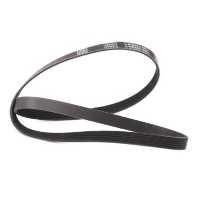 V-Ribbed Belt RIDEX 305P0224P 305P0224P - photo 3