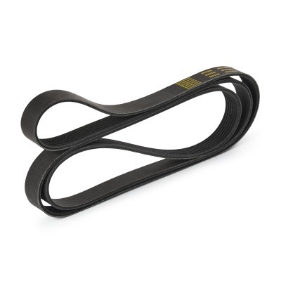 V-Ribbed Belt RIDEX 305P0108P 305P0108P - photo 4