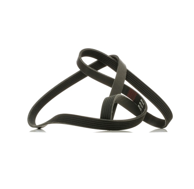 V-Ribbed Belt RIDEX 305P0078P 305P0078P - photo 1