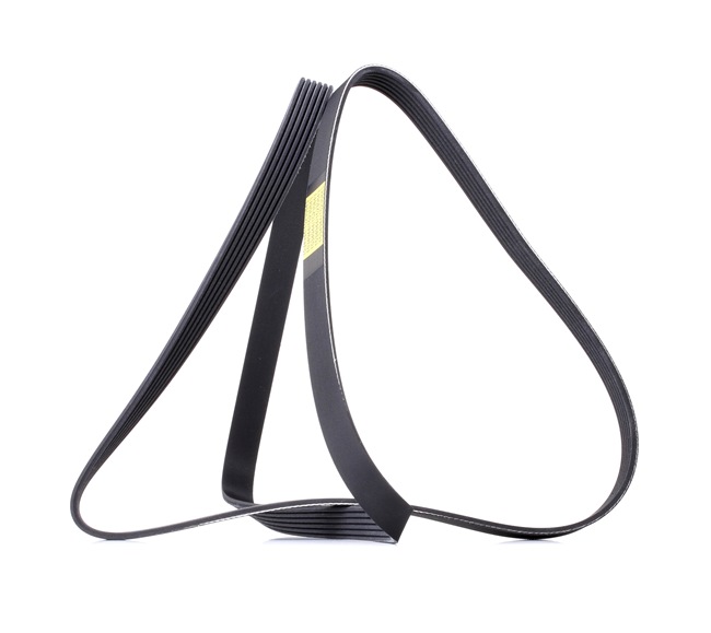 V-Ribbed Belt RIDEX 305P0458 305P0458 - photo 1