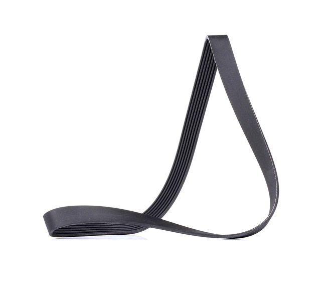 V-Ribbed Belt RIDEX 305P0509 305P0509 - photo 1