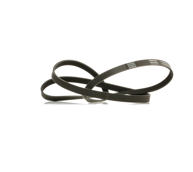 V-Ribbed Belt RIDEX 305P0045P 305P0045P - photo 1