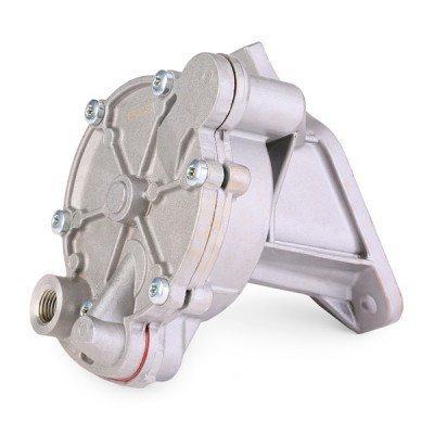 Vacuum Pump RIDEX 387V0026 387V0026 - photo 4
