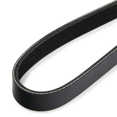 V-Ribbed Belt RIDEX 305P0639 305P0639 - photo 4