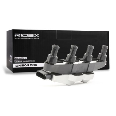 Ignition Coil RIDEX 689C0247 689C0247 - photo 3