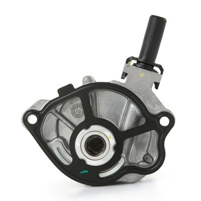 Vacuum Pump RIDEX 387V0060 387V0060 - photo 6