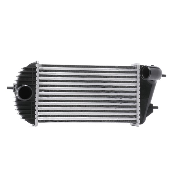 Intercooler, Charger RIDEX 468I0366 468I0366 - photo 1