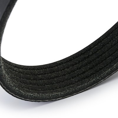 V-Ribbed Belt RIDEX 305P0629 305P0629 - photo 4