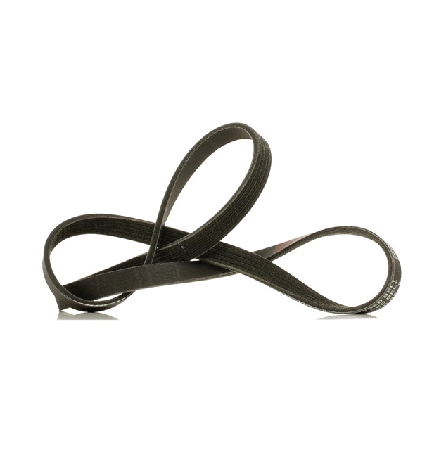 V-Ribbed Belt RIDEX 305P0156P 305P0156P - photo 1
